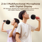 JR-MC6 Handheld Microphone with Speaker - Image 4