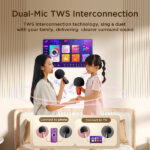 JR-MC6 Handheld Microphone with Speaker - Image 6
